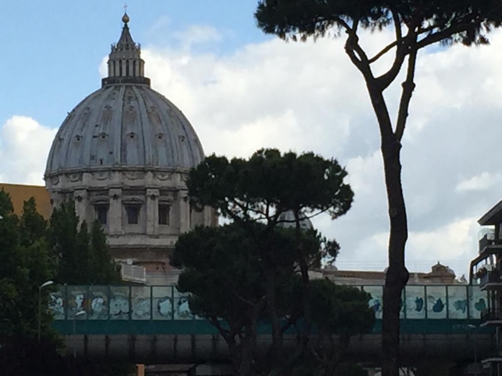 Saint Peter Welcoming Apartment Roma Exterior foto